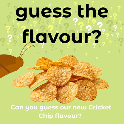 Cricket Corn Chips 50g