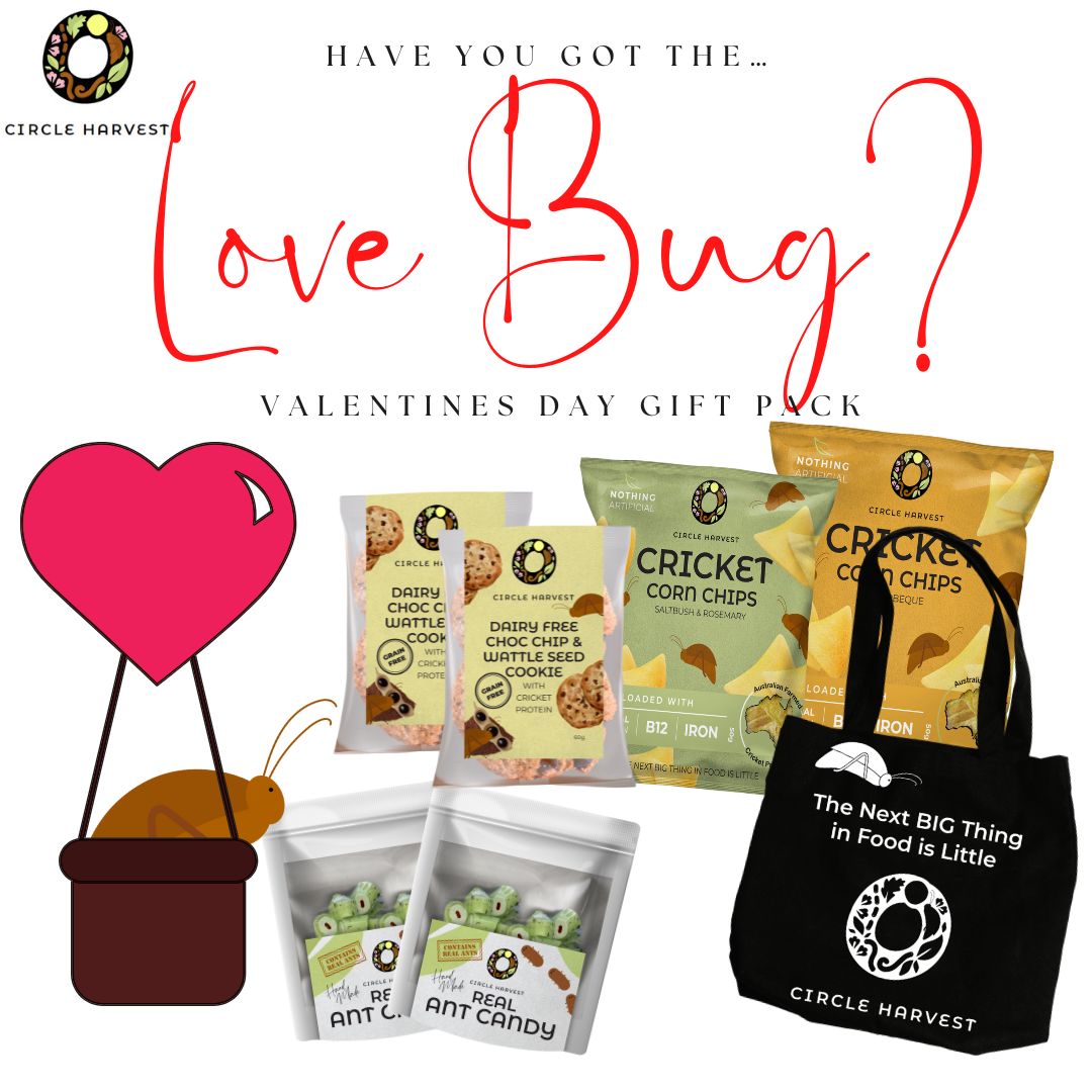 Valentines Day Love Bug Gift Pack