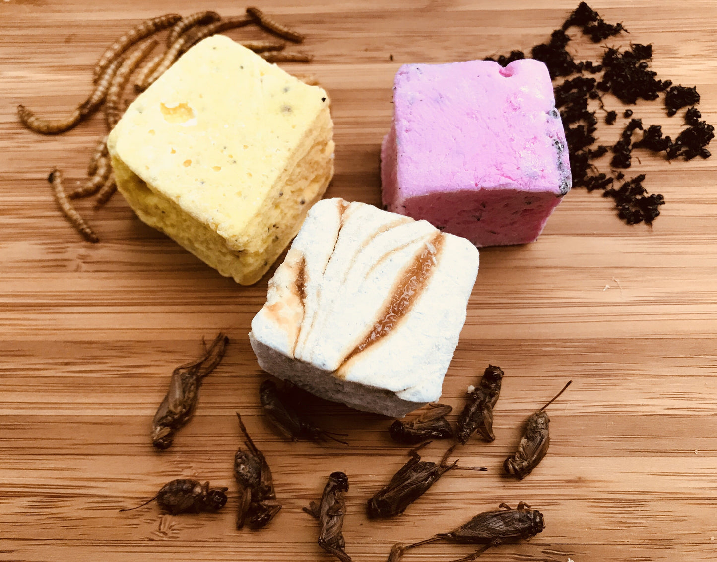 Edible Insect Marshmallows- 3 pack