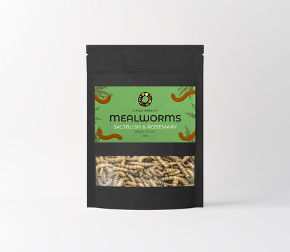 Flavoured Mealworm Snacks 20g