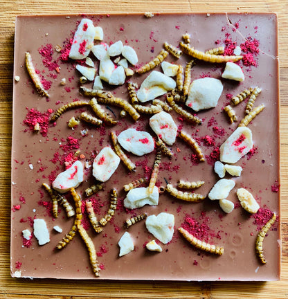 Cricket and Mealworm Chocolates